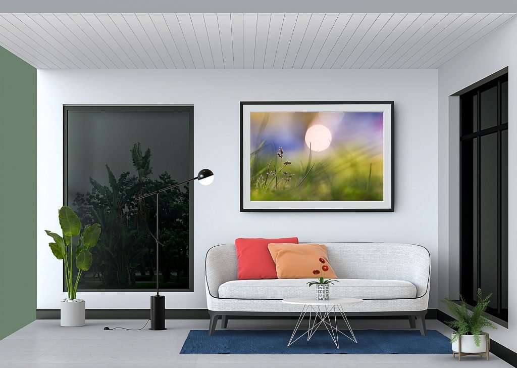Close-up of Dactylis glomerata grass strand against a backdrop of a setting sun, with purple and blue hues in the sky, framed in a living room with a light grey sofa, black windows, and plants.