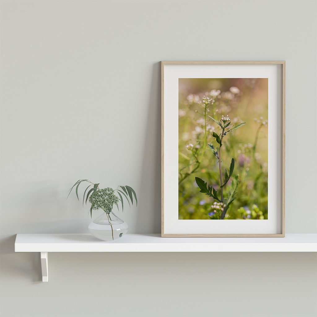 Close-up of a Lepidium virginicum flower in full bloom, with blurred background resembling dancing figures, framed in a light wooden frame, standing on top of a light wooden shelf and a green plant inside a transparent vase.